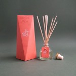 Euodia Home x Havilla | Jasmine & Peach Tea Fragrance Diffuser 50ml